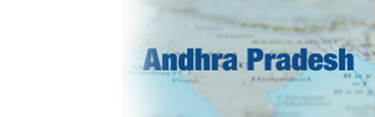 Andhra Pradesh State Government Tax